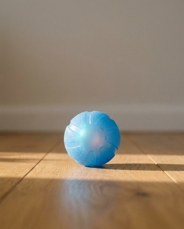 Small round blue motorized smart dog ball sitting on a warm oak wooden floor