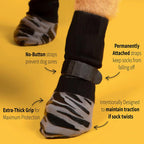 Buddies Non-Slip Dog Socks (Set of 4) — Anti-Slip Grip Socks for Hardwood & Tile Floors | Senior, Knuckling & Post-Op Support