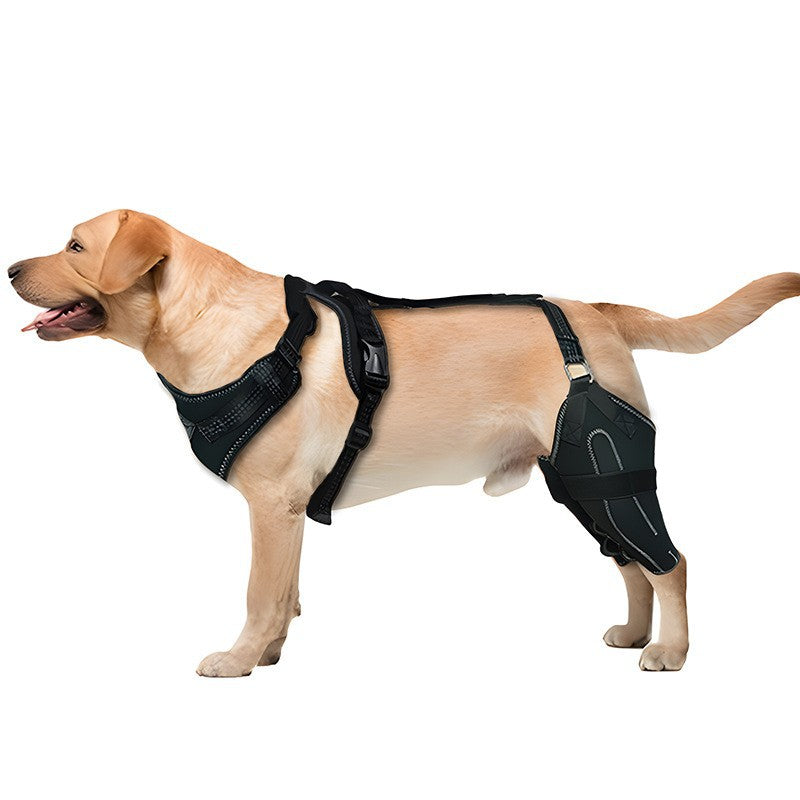 Buddies Dog Knee Brace for Hind Legs — Adjustable CCL & Stifle Support with Metal Splints (M–XL) | Post-Op, Arthritis & Ligament Recovery
