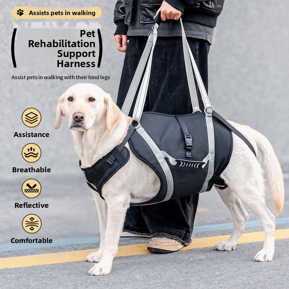 Buddies Adjustable Dog Support Harness — Rehabilitation & Mobility Aid for Medium & Large Dogs (XL–XXL) | Reflective, Ergonomic Fit