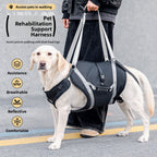 Buddies Adjustable Dog Support Harness — Rehabilitation & Mobility Aid for Medium & Large Dogs (XL–XXL) | Reflective, Ergonomic Fit