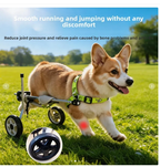 Buddies small dog wheelchair with lime-green harness and silent rear wheels