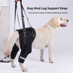 Buddies Dog Rear-Leg Support Sling — Adjustable Rehabilitation Belt with Non-Slip Handles (S–XL) | Senior, Post-Op & Weak Hind Legs