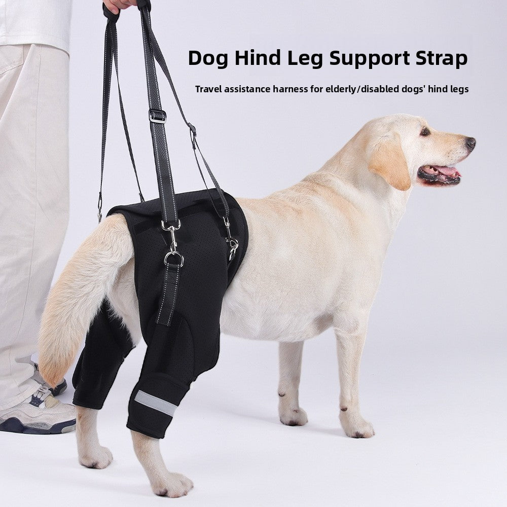 Buddies Dog Rear-Leg Support Sling — Adjustable Rehabilitation Belt with Non-Slip Handles (S–XL) | Senior, Post-Op & Weak Hind Legs