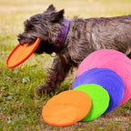 Durable Dog Frisbee — Soft TPR Flying Disc Training Toy
