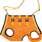 Buddies Dog Support Sling — Adjustable Rehabilitation Belt for Small & Medium Dogs (XS–XL, 3–21kg) | Stairs, Walks & Recovery