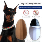 Dog Ear Correction Stickers Adhesive-Free