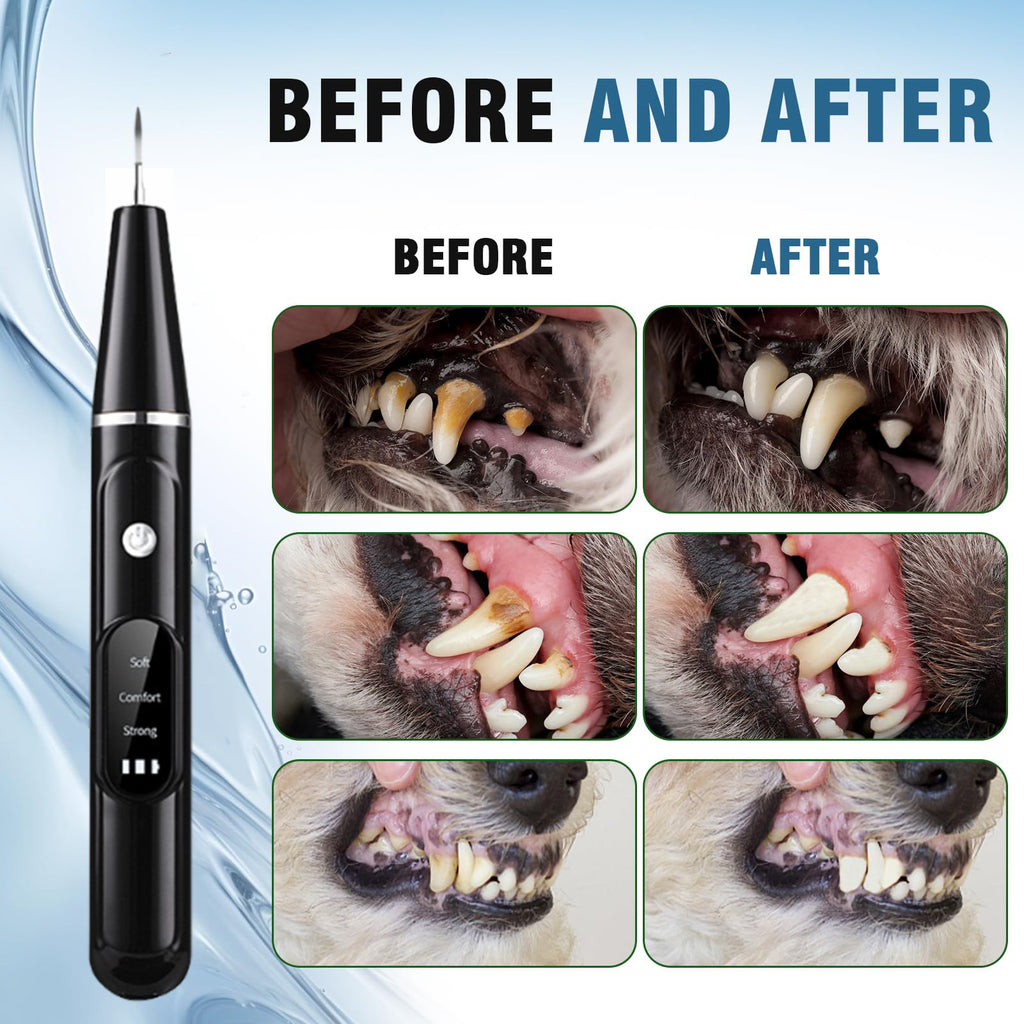 Pet Ultrasonic Electric Tooth Cleaner