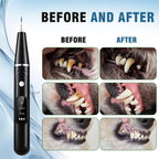 Pet Ultrasonic Electric Tooth Cleaner