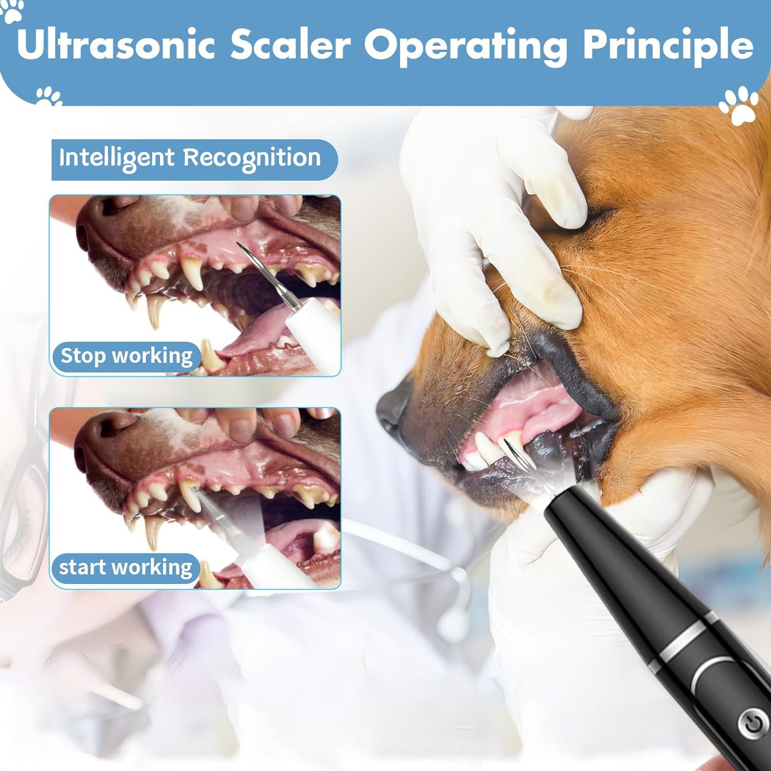 Pet Ultrasonic Electric Tooth Cleaner