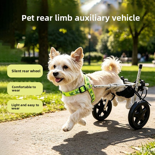 Dog Rehabilitation Walker — Adjustable Small-Breed Mobility Frame