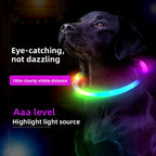 Buddies Rechargeable LED Dog Collar | Light-Up Safety Collar for Night Walks, Cut to Fit (35, 50, 70cm)