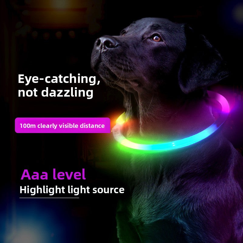 Buddies Rechargeable LED Dog Collar | Light-Up Safety Collar for Night Walks, Cut to Fit (35, 50, 70cm)