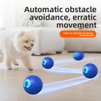 Buddies Self-Rolling Dog Ball | USB Rechargeable Interactive Toy That Moves on Its Own
