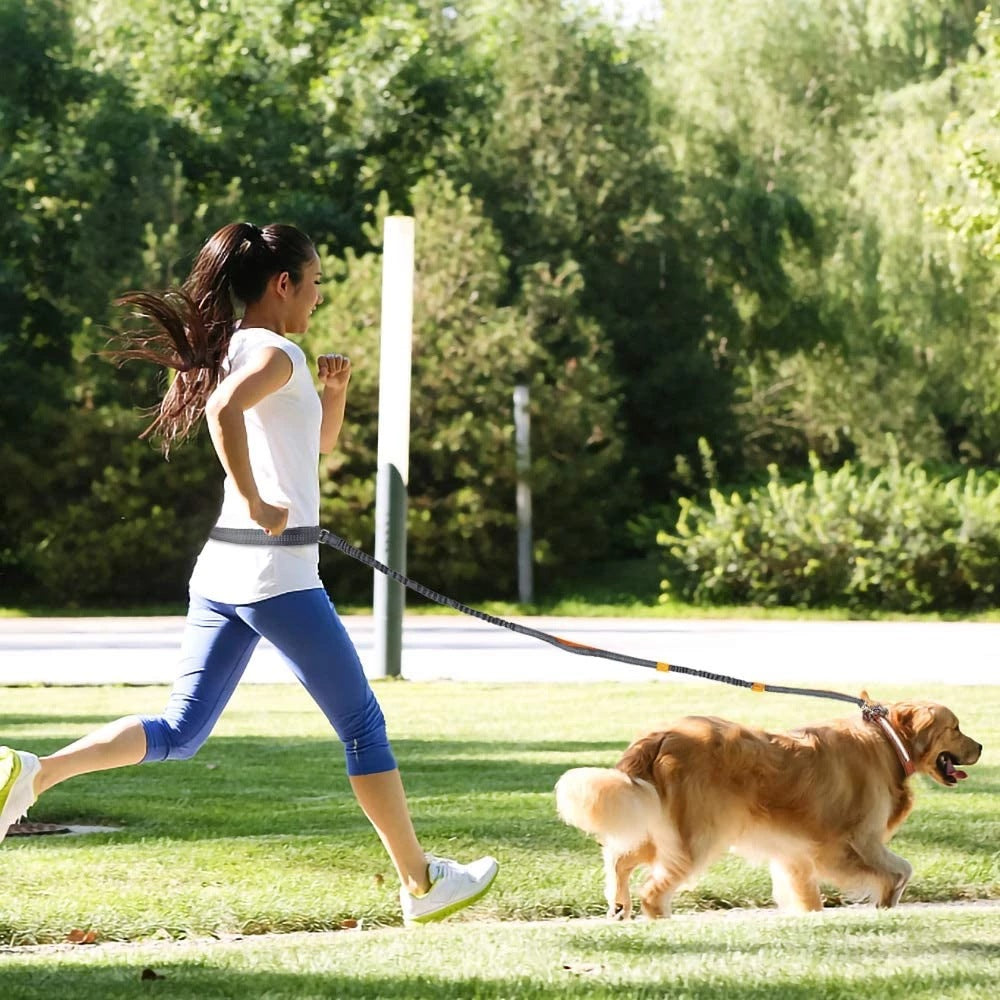 Hands-Free Dog Leash with Waist Belt — Bungee Bike & Running Lead
