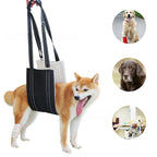 Adjustable Dog Recovery Harness — Post-Surgery Support