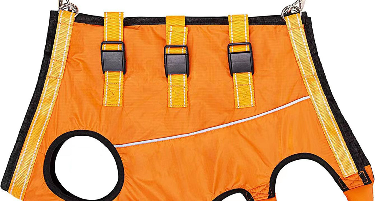 Buddies Dog Support Sling — Adjustable Rehabilitation Belt for Small & Medium Dogs (XS–XL, 3–21kg) | Stairs, Walks & Recovery