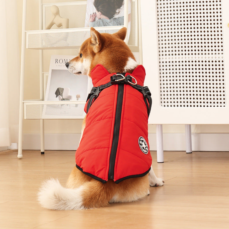 Buddies Padded Winter Dog Coat | Warm Quilted Jacket with Reflective Trim, S to 5XL in 8 Colours