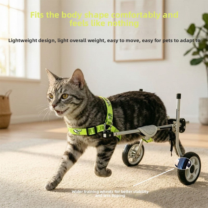Dog Rehabilitation Walker — Adjustable Small-Breed Mobility Frame