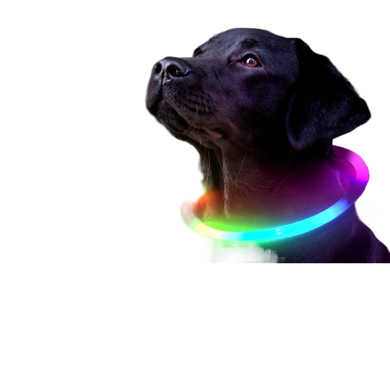 Buddies Rechargeable LED Dog Collar | Light-Up Safety Collar for Night Walks, Cut to Fit (35, 50, 70cm)