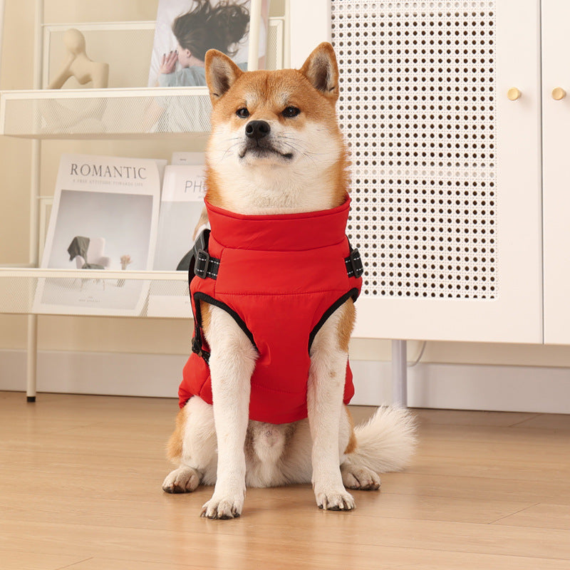 Buddies Padded Winter Dog Coat | Warm Quilted Jacket with Reflective Trim, S to 5XL in 8 Colours