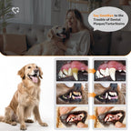 Pet Ultrasonic Electric Tooth Cleaner