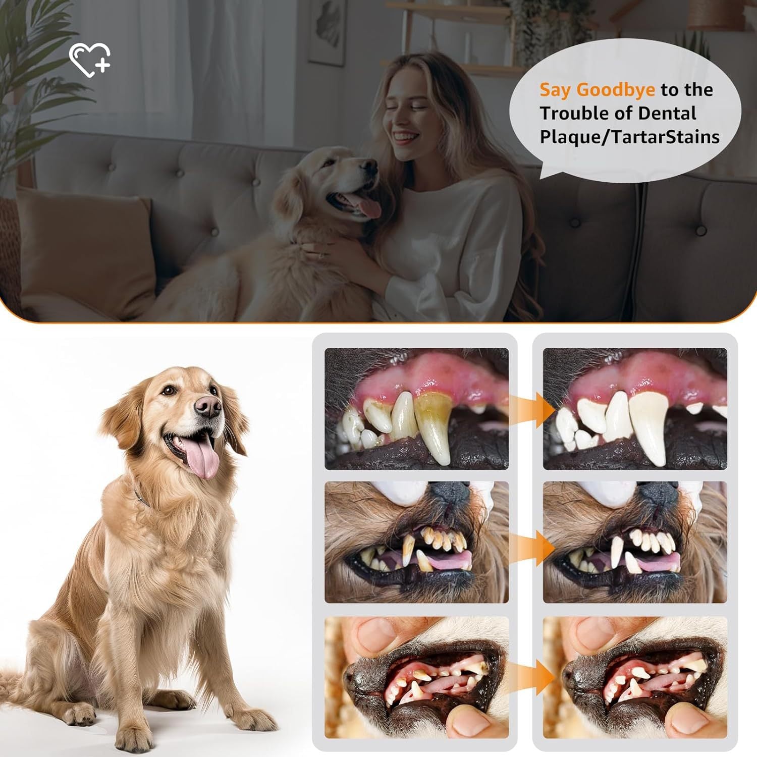 Pet Ultrasonic Electric Tooth Cleaner