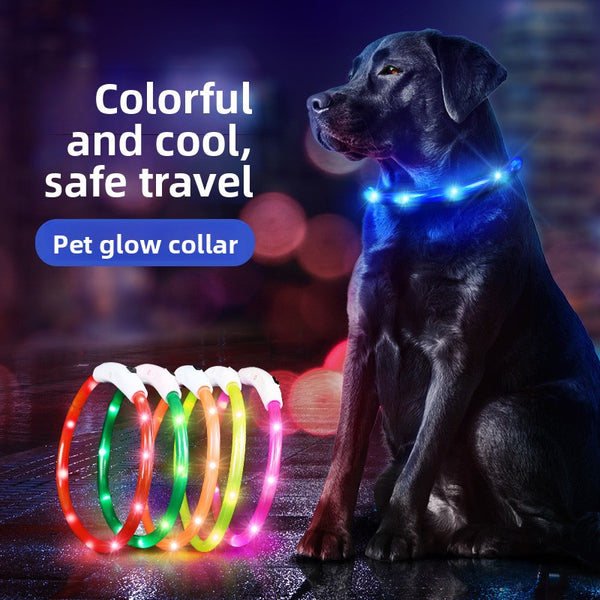Buddies Rechargeable LED Dog Collar | Light-Up Safety Collar for Night Walks, Cut to Fit (35, 50, 70cm)
