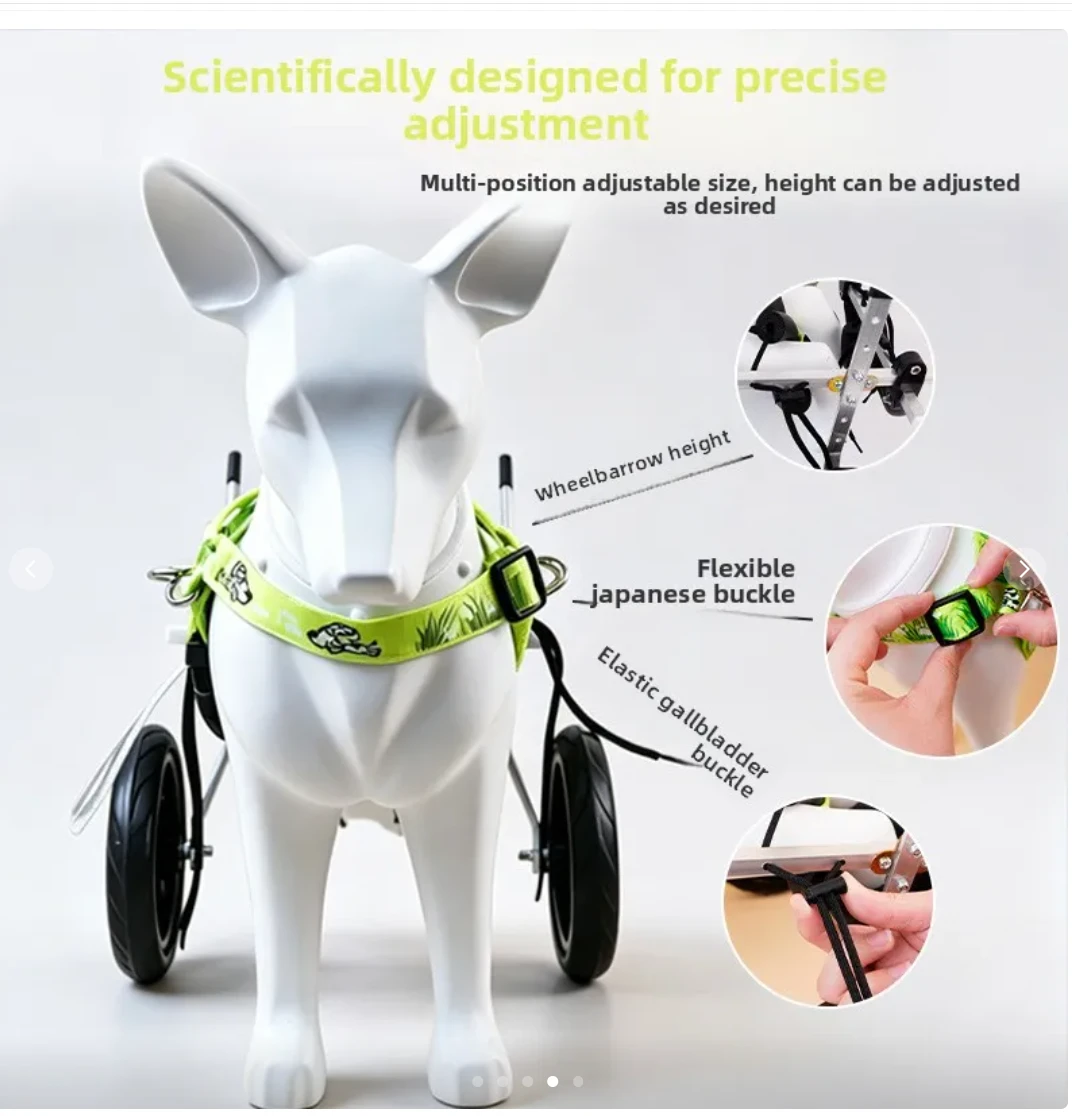 Buddies small dog wheelchair adjustment points: height, buckle and elastic leg loops