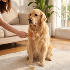 Self-Cleaning Deshedding Grooming Comb for Cats & Dogs