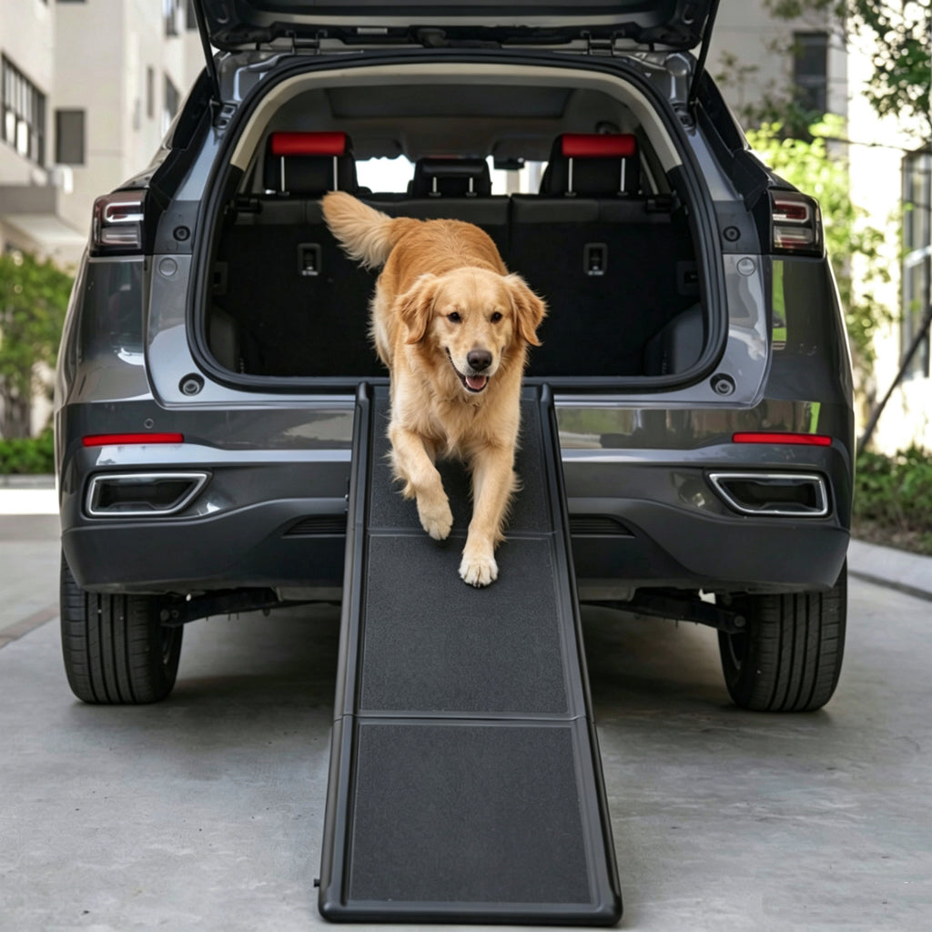 Buddies Folding Dog Ramp — Portable Non-Slip Car Boot Ramp for Senior, Injured & Large Dogs | Lightweight Aluminium, Folds Flat