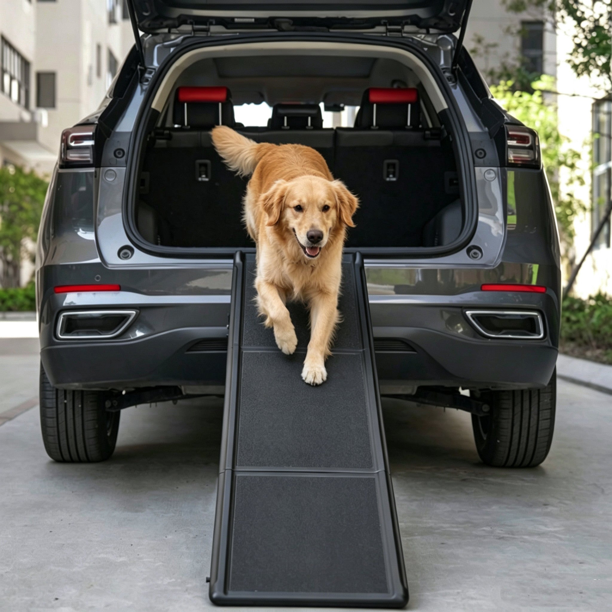 Buddies Folding Dog Ramp — Portable Non-Slip Car Boot Ramp for Senior, Injured & Large Dogs | Lightweight Aluminium, Folds Flat