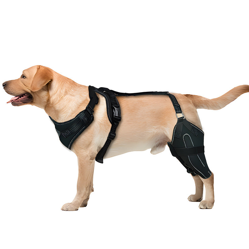 Buddies Dog Knee Brace for Hind Legs — Adjustable CCL & Stifle Support with Metal Splints (M–XL) | Post-Op, Arthritis & Ligament Recovery