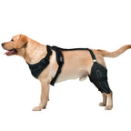 Buddies Dog Knee Brace for Hind Legs — Adjustable CCL & Stifle Support with Metal Splints (M–XL) | Post-Op, Arthritis & Ligament Recovery
