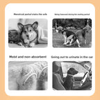 Buddies Washable Dog Season Pants — Reusable Cotton Nappy for Seasons & Light Incontinence (XS–XXL) | Leak-Resistant