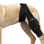 Buddies Dog Leg Protection Sleeve — Anti-Lick Wound Cover for Healing Legs & Post-Op Recovery (S–L) | Kinder Cone Alternative