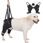 Buddies Dog Rear-Leg Support Sling — Adjustable Rehabilitation Belt with Non-Slip Handles (S–XL) | Senior, Post-Op & Weak Hind Legs