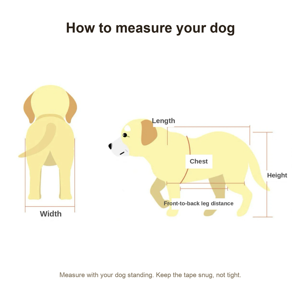 How to measure your dog for a Buddies wheelchair: chest girth, length, height, width and front-to-back leg distance