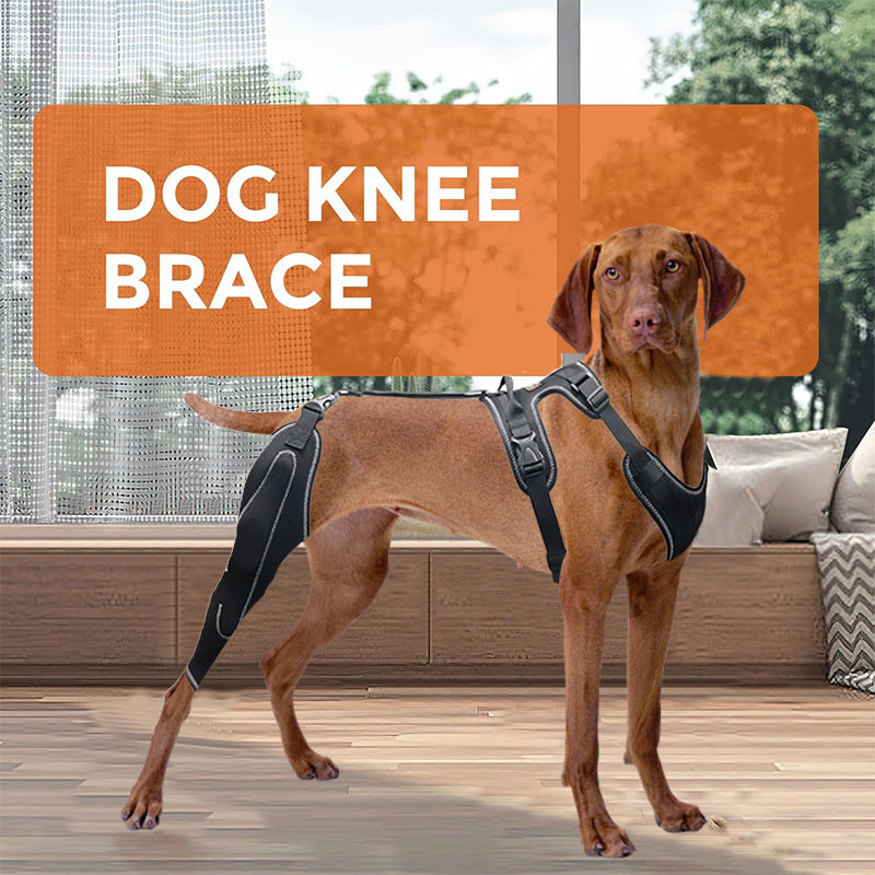 Buddies Dog Knee Brace for Hind Legs — Adjustable CCL & Stifle Support with Metal Splints (M–XL) | Post-Op, Arthritis & Ligament Recovery