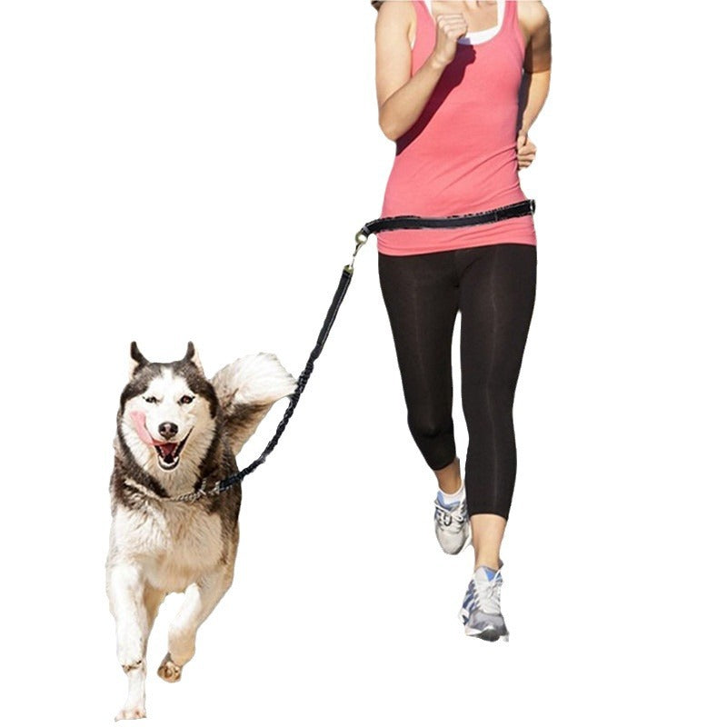 Hands-Free Dog Leash with Waist Belt — Bungee Bike & Running Lead