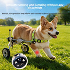 Dog Rehabilitation Walker — Adjustable Small-Breed Mobility Frame