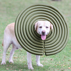 Buddies Padded Dog Recovery Collar — Soft Cone Alternative for Post-Surgery Healing (XS–XXL) | Breathable & Washable
