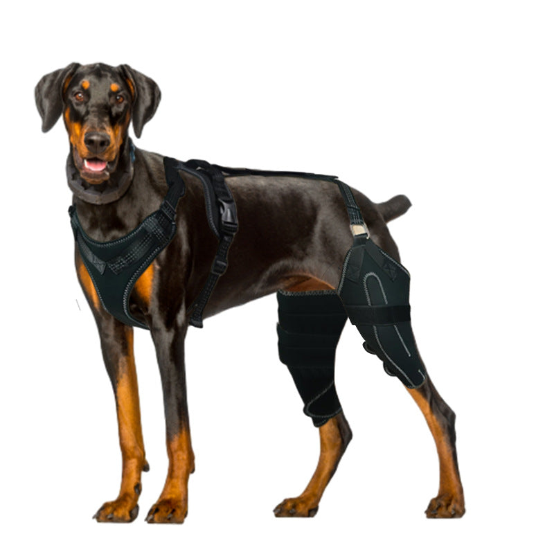 Buddies Dog Knee Brace for Hind Legs — Adjustable CCL & Stifle Support with Metal Splints (M–XL) | Post-Op, Arthritis & Ligament Recovery