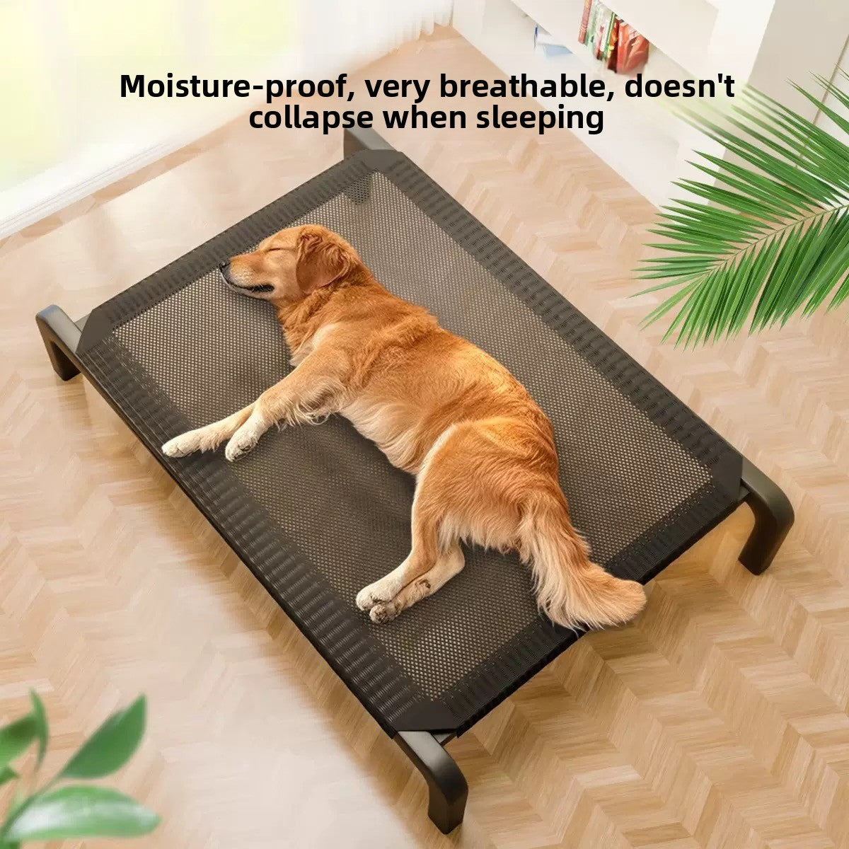 Buddies Elevated Dog Bed — Raised Breathable Camp Bed with Removable Washable Cover (S–XL, up to 100kg) | Folds Flat