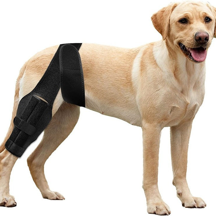 Buddies Dog Leg Protection Sleeve — Anti-Lick Wound Cover for Healing Legs & Post-Op Recovery (S–L) | Kinder Cone Alternative