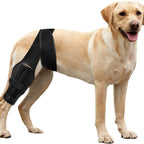 Buddies Dog Leg Protection Sleeve — Anti-Lick Wound Cover for Healing Legs & Post-Op Recovery (S–L) | Kinder Cone Alternative