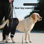 Buddies Dog Rear-Leg Support Sling — Adjustable Rehabilitation Belt with Non-Slip Handles (S–XL) | Senior, Post-Op & Weak Hind Legs