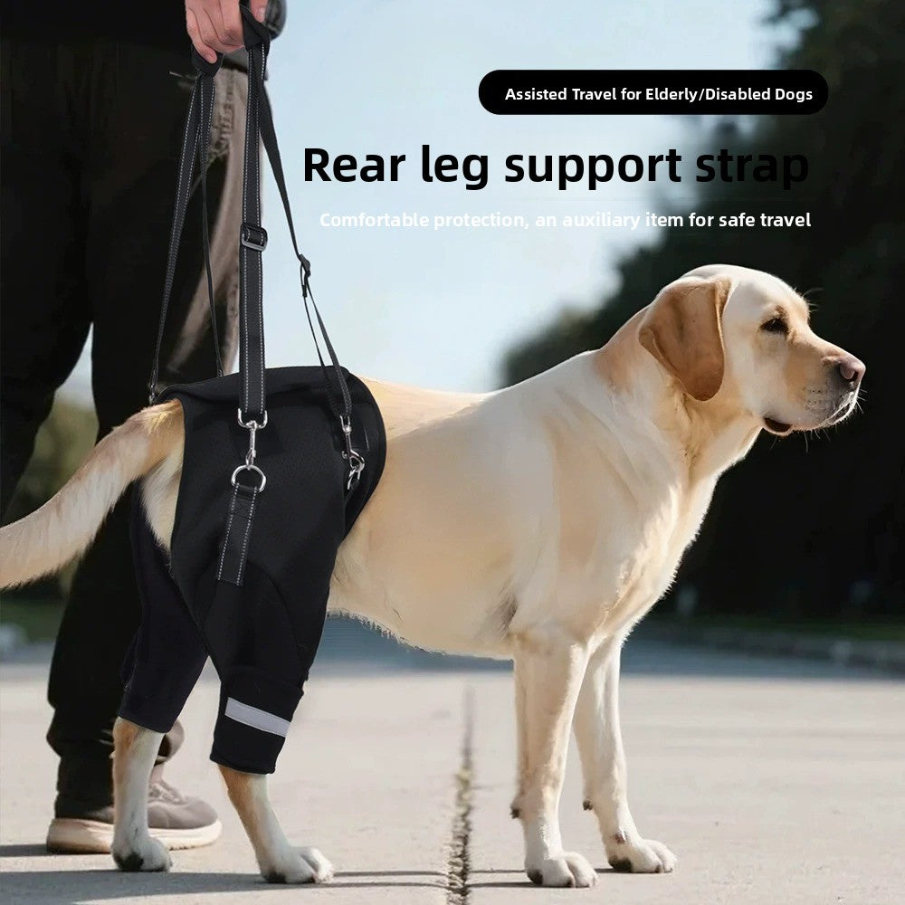 Buddies Dog Rear-Leg Support Sling — Adjustable Rehabilitation Belt with Non-Slip Handles (S–XL) | Senior, Post-Op & Weak Hind Legs