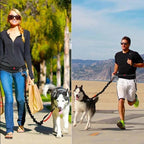 Hands-Free Dog Leash with Waist Belt — Bungee Bike & Running Lead