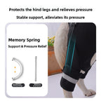 Buddies Dog Rear-Leg Support Sling — Adjustable Rehabilitation Belt with Non-Slip Handles (S–XL) | Senior, Post-Op & Weak Hind Legs